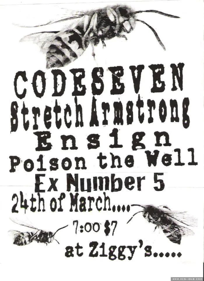 Show flyer